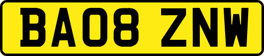 BA08ZNW