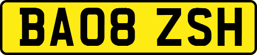 BA08ZSH