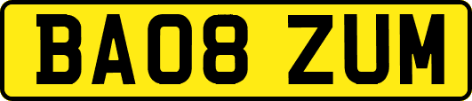 BA08ZUM