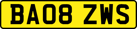 BA08ZWS
