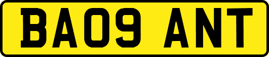 BA09ANT