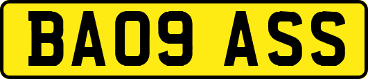 BA09ASS