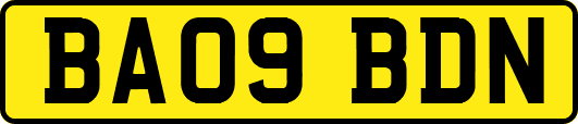 BA09BDN