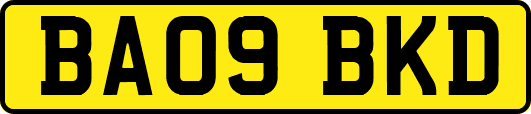 BA09BKD