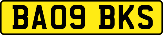 BA09BKS