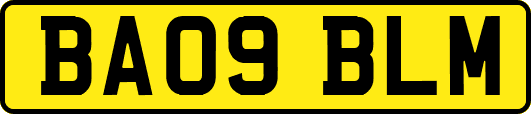 BA09BLM