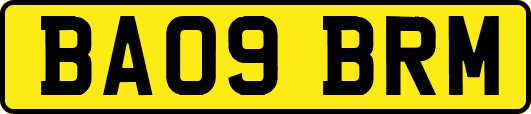 BA09BRM