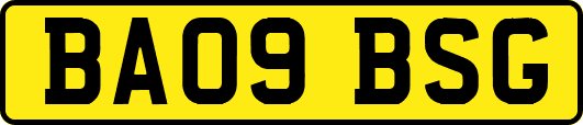 BA09BSG