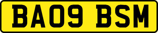 BA09BSM