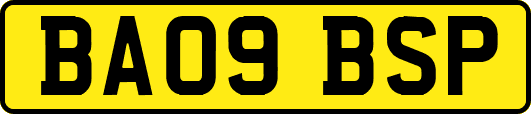 BA09BSP