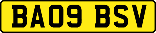 BA09BSV
