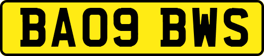BA09BWS
