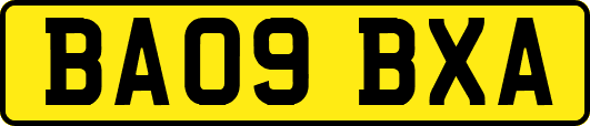 BA09BXA
