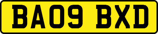 BA09BXD