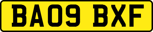 BA09BXF