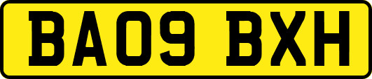 BA09BXH