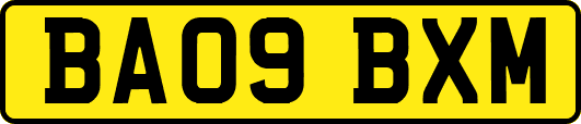 BA09BXM