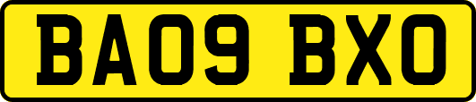 BA09BXO