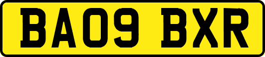 BA09BXR