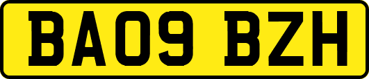 BA09BZH