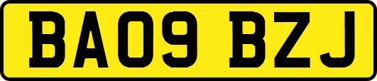 BA09BZJ