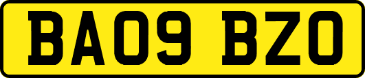 BA09BZO