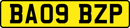 BA09BZP