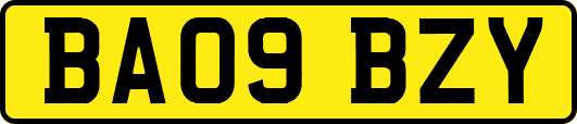 BA09BZY