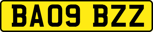 BA09BZZ