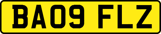 BA09FLZ