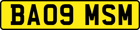 BA09MSM