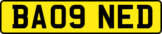 BA09NED