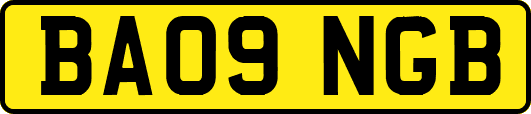 BA09NGB
