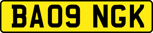 BA09NGK