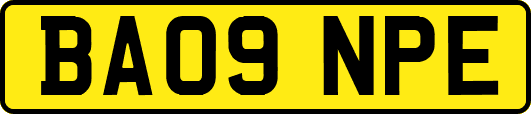 BA09NPE