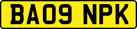 BA09NPK