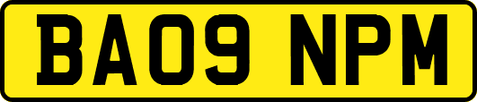 BA09NPM