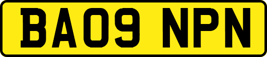 BA09NPN
