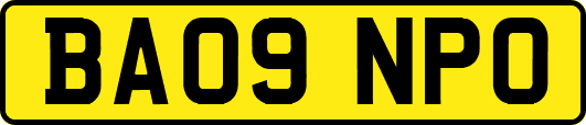 BA09NPO