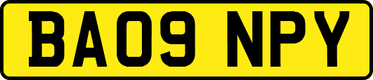 BA09NPY