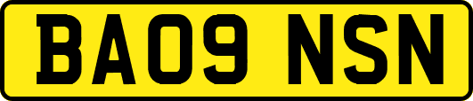 BA09NSN