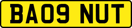BA09NUT