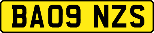 BA09NZS