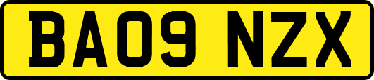 BA09NZX