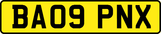 BA09PNX
