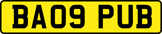 BA09PUB