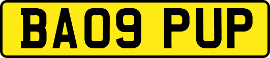 BA09PUP