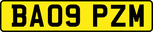 BA09PZM