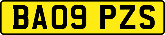 BA09PZS