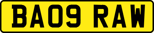 BA09RAW